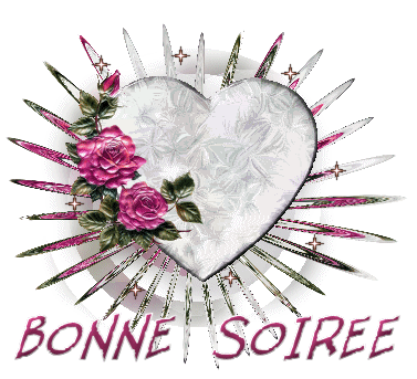 bonne soirre ah tout les gens de mon blog