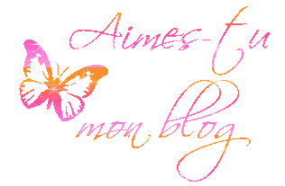 aime tu mon blog