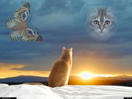 le coucher du soleil