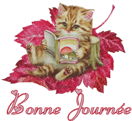 bonne journee ah tout les gens de mon blog